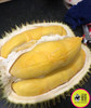 ✈️树熟空运【焦糖味榴莲】马来西亚🇲🇾D101奶油榴莲 鲜果❗4.5斤 商品缩略图11