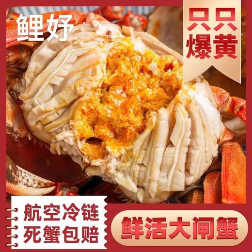 线上到家【鲜活直供】江苏洪泽湖精品大闸蟹（3-4.5两）3对/4对/5对 商品图0
