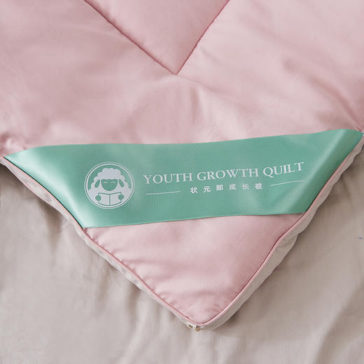 学子澳毛保暖冬被 面料亲肤贴身 立体工艺更保暖 商品图4