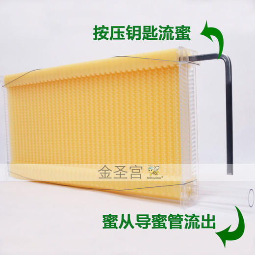 自流蜜蜂箱自流蜜蜂巢自动取蜜巢础巢脾全套 商品图5