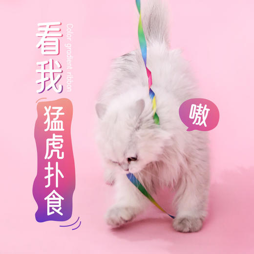 新品七彩逗猫棒 耐咬自嗨解闷神器 批发猫玩具 商品图2
