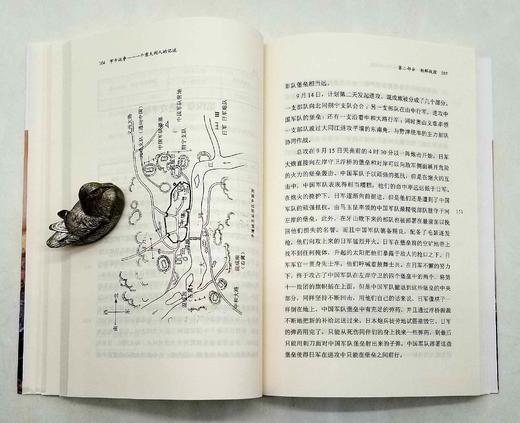 《甲午战争：一个意大利人的记述》，[意]弗拉基米尔著，商务印书馆2018年版，320页，定价50，售价29元。 商品图11