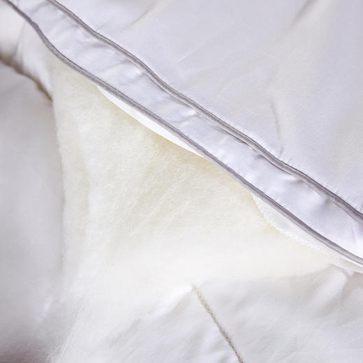 2022新款 钻石级细羊毛加厚冬被 细如羊绒 手感如羊奶蛋糕 商品图3