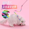 新品七彩逗猫棒 耐咬自嗨解闷神器 批发猫玩具 商品缩略图1