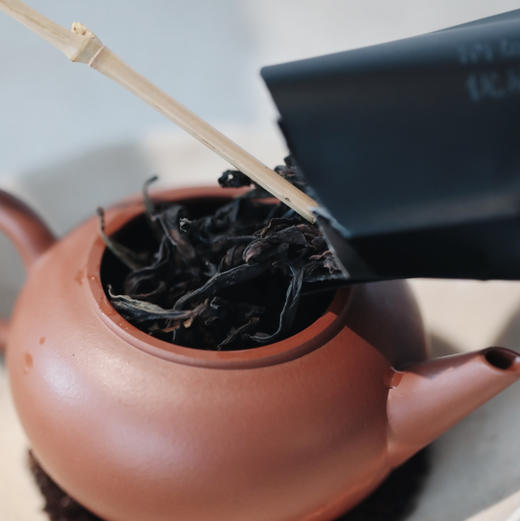 武夷名丛·15泡入 125克装 商品图2