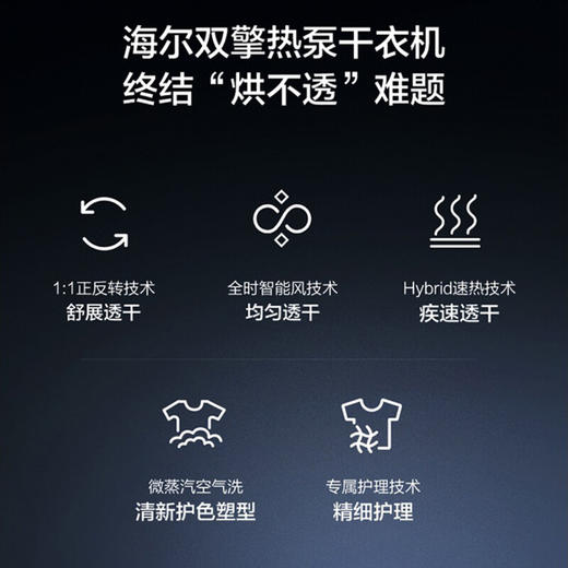 海尔(Haier)10KG双擎热泵式烘干机全自动家用大容量暖烘杀菌除螨护衣正反转匀烘防皱免熨空气洗HGY100-F376U1 商品图1