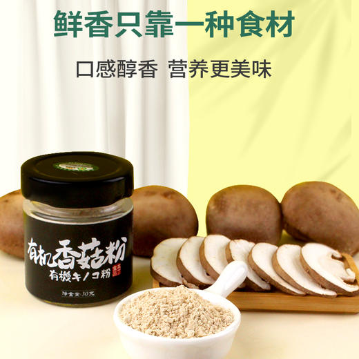 本丁调味粉40g 商品图5