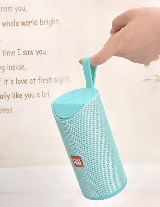 TG113音箱 商品图3