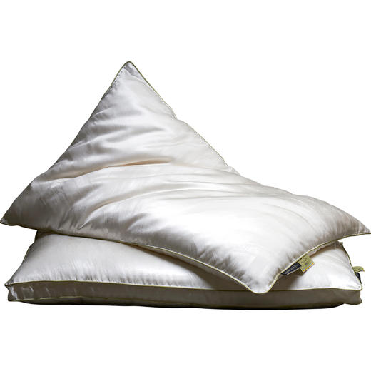 whinny/惠谊 真丝提花桑蚕丝枕大展宏图苏秀春丰桑蚕丝枕（一只） 商品图1