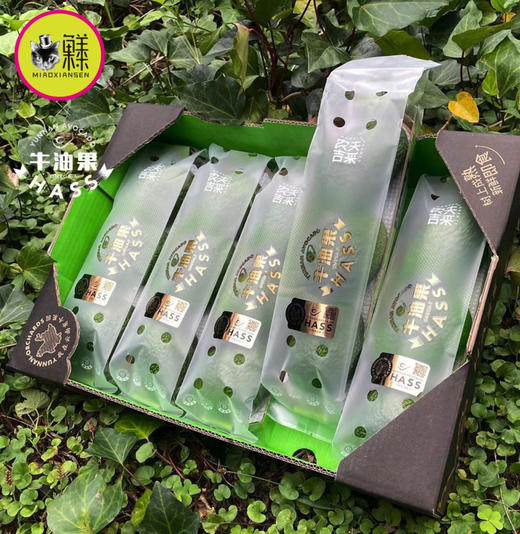 喵菓基地📦树熟即食牛油果【云南孟连HASS牛油果】全国包邮 商品图5