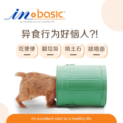 麦德氏犬用微量元素150片 麦德氏IN-BASIC-犬用维生素片-150片麦德氏IN-BASIC-犬用消食片-150片麦德氏IN-BASIC-犬用羊乳钙片-150片防异食癖症 正品保证 宠物保健品批发 商品图2