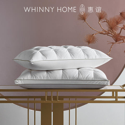 whinny/惠谊95%高含绒量枕芯 莱茵鹅绒枕 凝月如风（一只） 商品图0
