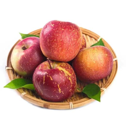 大凉山 盐源苹果2.5kg（10个装）| 水果 商品图1