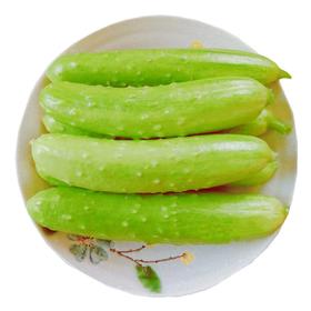 水果小黄瓜一份5根