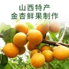 云娃金杏果干85g/袋 商品缩略图2