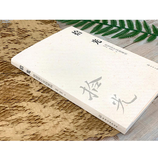 (仓发) 拾光：视觉设计实践案例/化学工业出版社/翁炳峰，戴睿琦/9787122394125 商品图4
