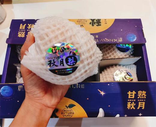 匠心品质 秋月梨| 水果 商品图0