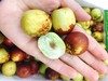 大凉山盐源苹果一箱+冰糖脆枣一箱（拼团） 商品缩略图4