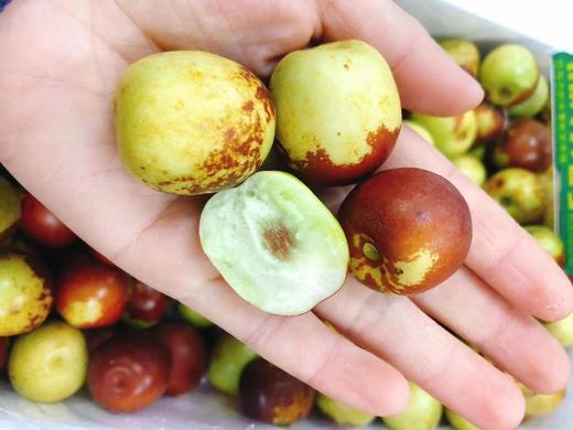 大凉山盐源苹果一箱+冰糖脆枣一箱（拼团） 商品图4