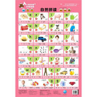 小海豚启蒙必备挂图：双面有声版·自然拼读