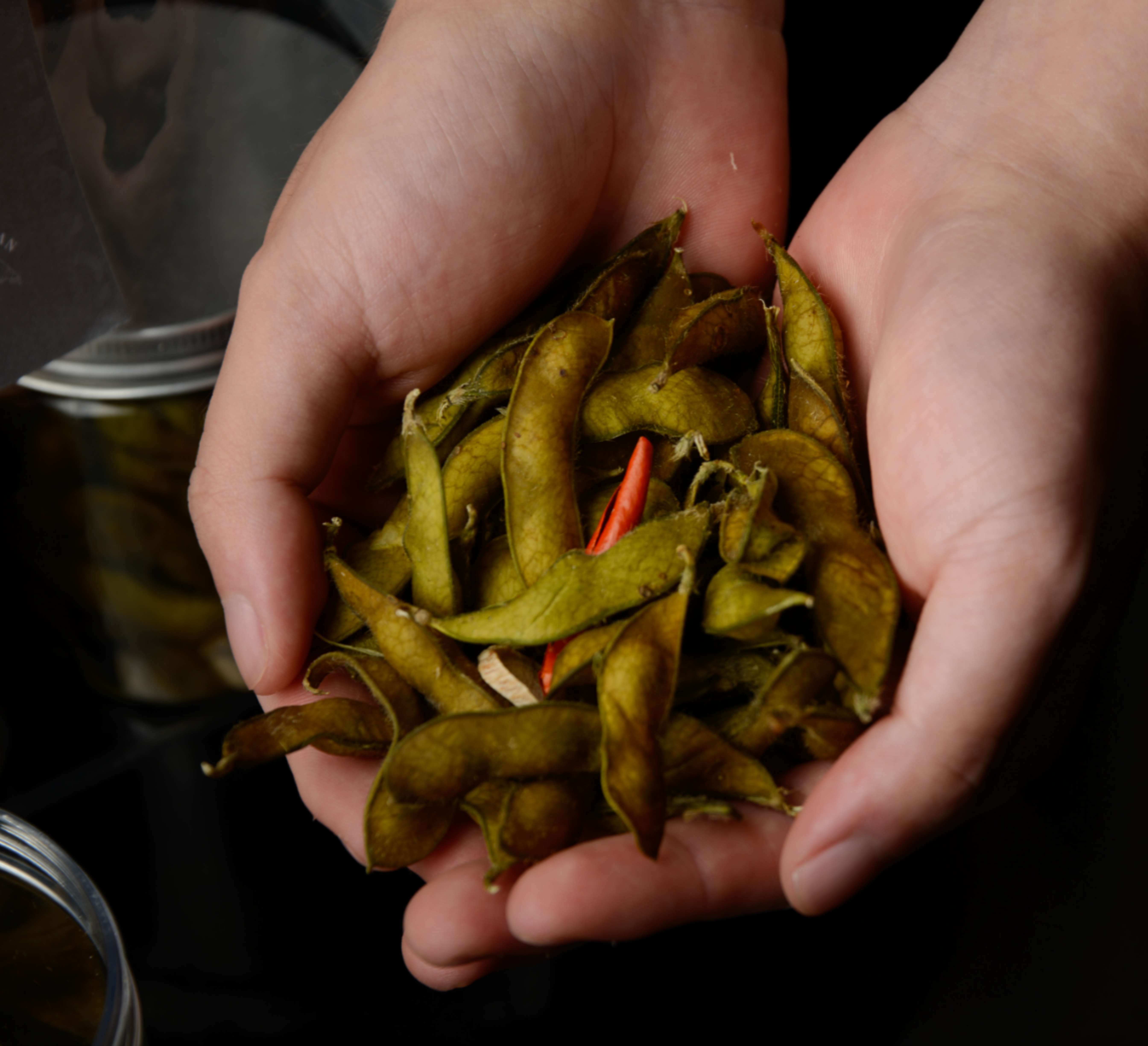 香烤毛豆节（仅限江南雅厨自提）