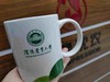 沈农文创杯（国槐绿）校徽马克杯 杯子 沈阳农业大学文创杯 商品缩略图1