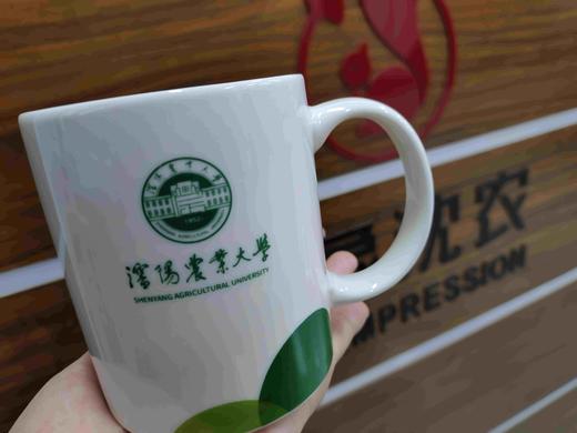 沈农文创杯（国槐绿）校徽马克杯 杯子 沈阳农业大学文创杯 商品图1