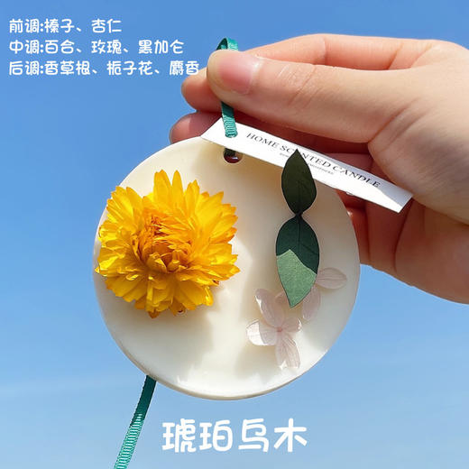 【一片香一年】唯美创意香薰蜡片 衣橱扩香香味挂件神器持久除味男士衣服香氛片香片包 商品图1