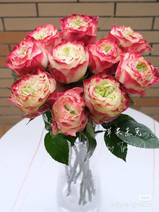 玫瑰苹果杰克 商品图1