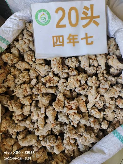 正三七粉云南文山特产20头30非野生37田七粉 两千三百多年历史的三七 全国发货 商品图6