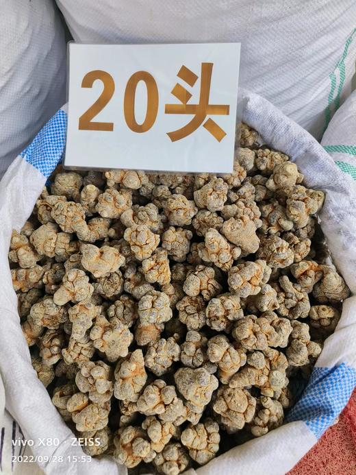 正三七粉云南文山特产20头30非野生37田七粉 两千三百多年历史的三七 全国发货 商品图8