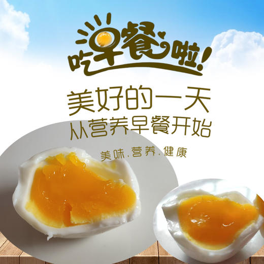 七彩野鸡蛋【双黄30枚装】 商品图2