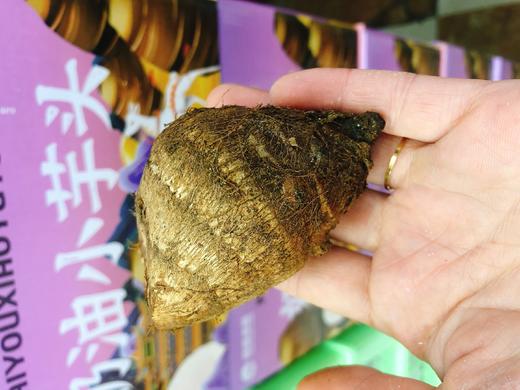 奶油小香芋一箱（拼团） 商品图1