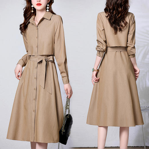 秋季新款女装，时尚气质假两件连衣裙 HR-GJC6293 商品图2