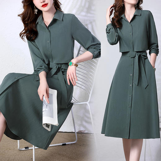 秋季新款女装，时尚气质假两件连衣裙 HR-GJC6293 商品图4
