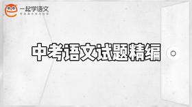 中考语文试题精编