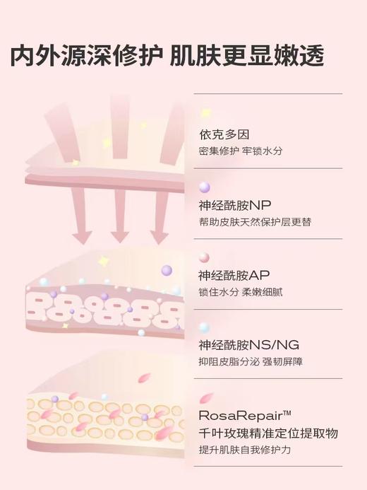 PMPM玫瑰面膜 商品图2