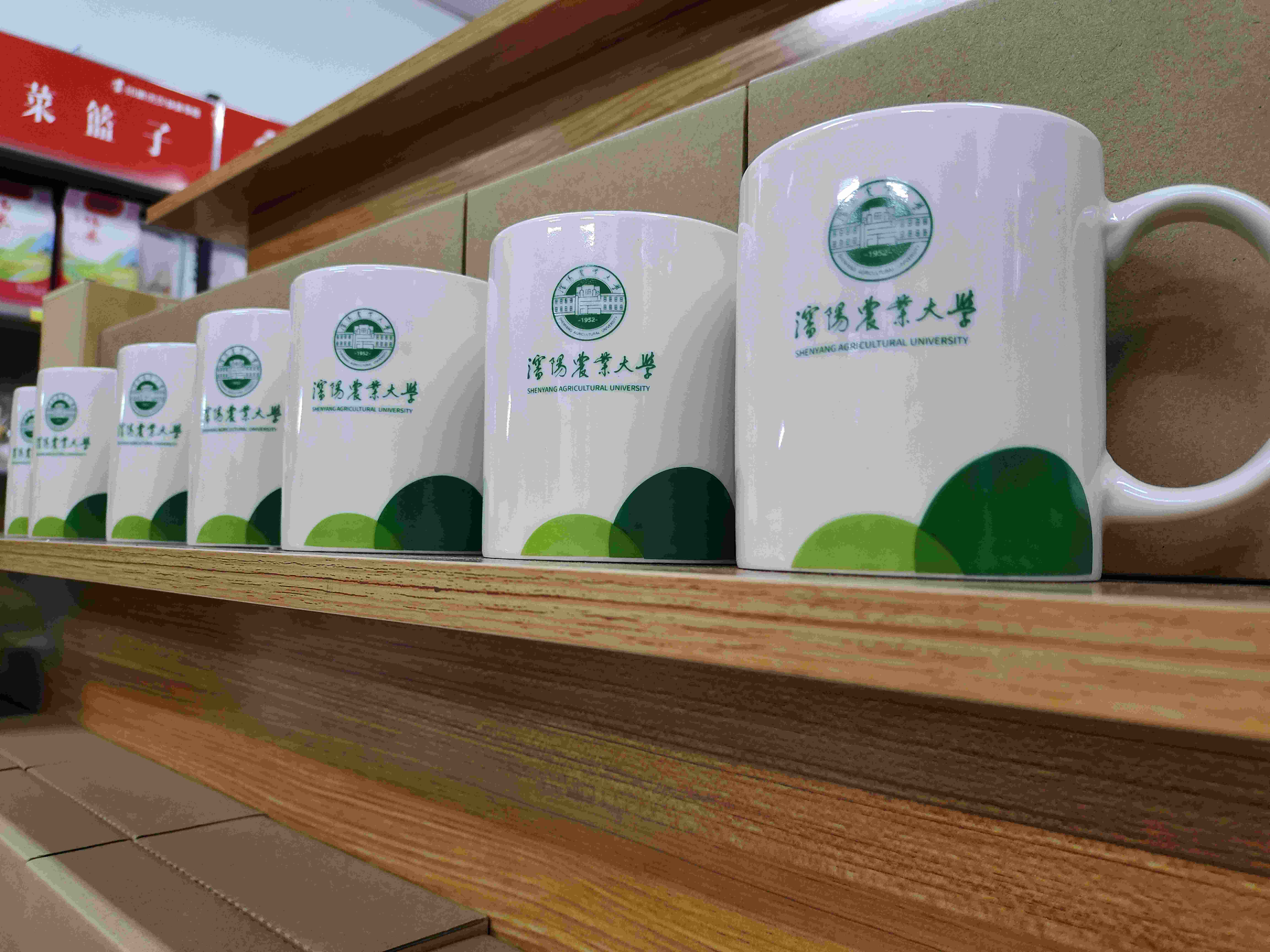 沈农文创杯（国槐绿）校徽马克杯 杯子 沈阳农业大学文创杯