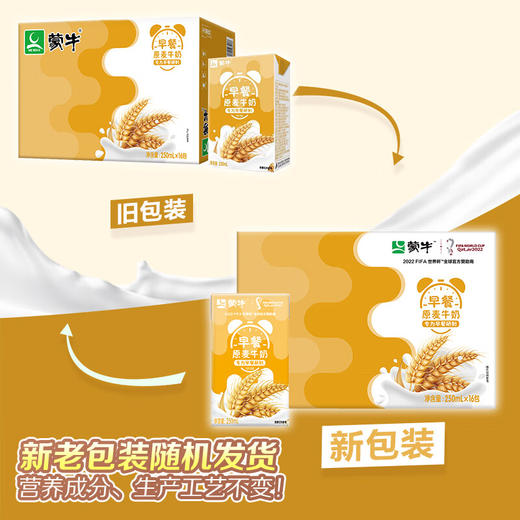 蒙牛 早餐奶 王俊凯推荐 麦香味利乐包250ml×16盒 礼盒装（新老包装随机发货） 商品图2