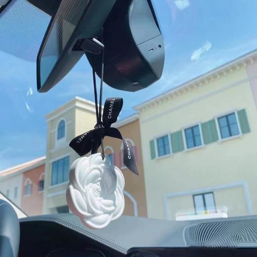 【限时折扣】香奶奶山茶花石膏香熏挂件 商品图3