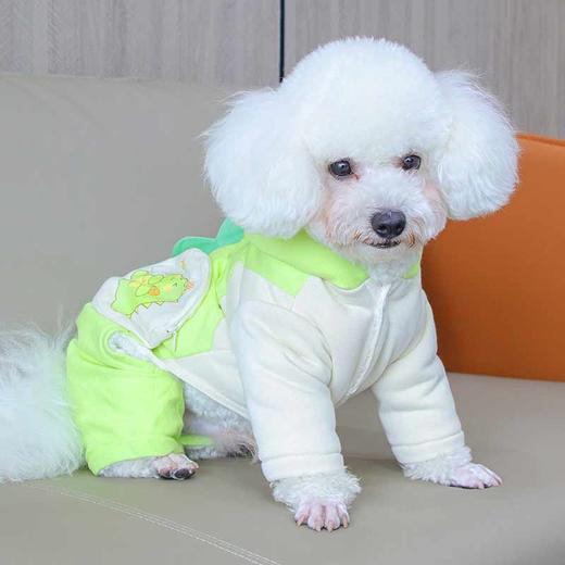 新款宠物小恐龙衣服 加绒加厚 秋冬连帽棉衣棉服四脚 商品图5
