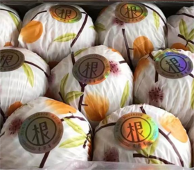 木艮本 冰糖羊脂秋月梨【单个装】| 水果