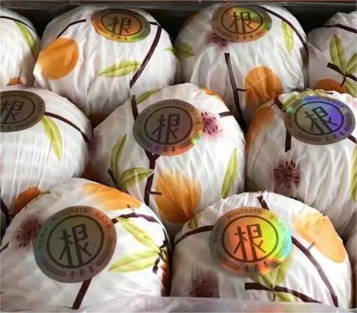 木艮本 冰糖羊脂秋月梨【单个装】| 水果 商品图0