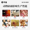 华畜兽用 酵母硒VE250g 维生素e饲料添加剂 特添加有机硒 提高发情率 增加产仔头数 商品缩略图2