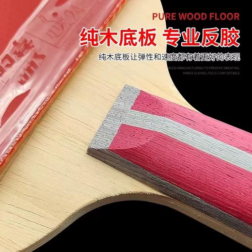 DHS红双喜新三星3星成品乒乓球拍1只单拍横拍直拍3002 3006双面反胶学生儿童初学者 商品图4