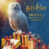 海德薇立体书 倒数日历 哈利波特 英文原版 Harry Potter Hedwig Pop-up Advent Calendar Matthew Reinhart JK罗琳 商品缩略图0