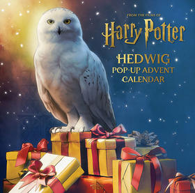 海德薇立体书 倒数日历 哈利波特 英文原版 Harry Potter Hedwig Pop-up Advent Calendar Matthew Reinhart JK罗琳