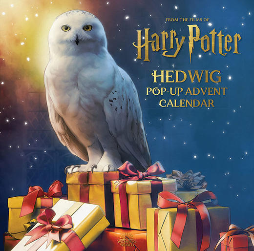 海德薇立体书 倒数日历 哈利波特 英文原版 Harry Potter Hedwig Pop-up Advent Calendar Matthew Reinhart JK罗琳 商品图0