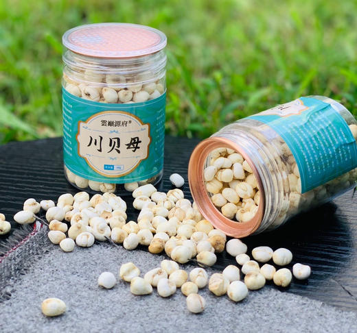 【养茶精选】四川阿坝•川贝母 精选四川纯开然贝母 天然无硫 入口微苦 带回甘 秋季干燥 煮一壶入口秋味甜哦 商品图2