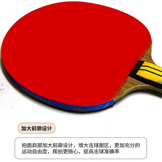 双鱼乒乓球拍单拍6A+E直拍短柄6A+C横拍长柄新六星单拍乒乓球拍7层底板1支 商品图5
